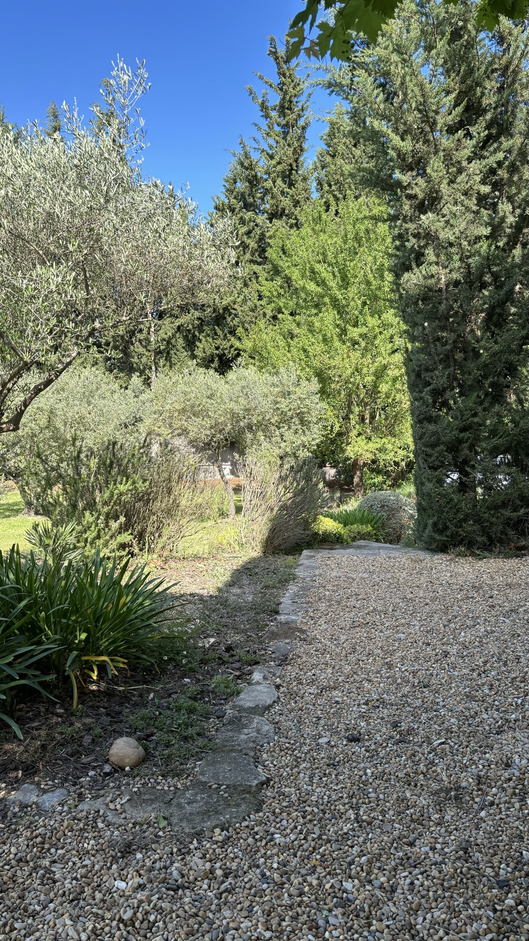 Table pergola vue piscine